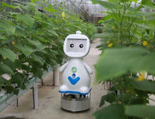 လယ်ယာစိုက်ပျိုးရေး လုပ်ငန်းမှာ AI စက်ရုပ်တွေကို အသုံးပြုနေ