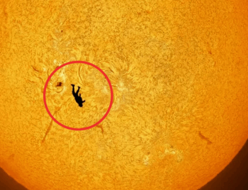 AI ပုံမဟုတ်ပါဘူး၊ နေလုံးကြီးရဲ့ မျက်နှာပြင်ပေါ်ကို Skydiver တစ်ယောက် ဖြတ်ကျနေတဲ့ပုံ