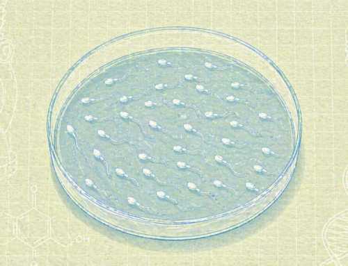 ဓာတ်ခွဲခန်းထဲမှာ လူ့သုတ်ပိုးကို ပထမဆုံးအကြိမ် အောင်မြင်စွာ မွေးမြူနိုင်ပြီ