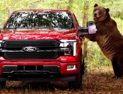 ဝက်ဝံကြီးကို အသုံးပြုပြီး Ford ရဲ့ လုံခြုံရေးစနစ်အသစ်ကို စမ်းသပ်